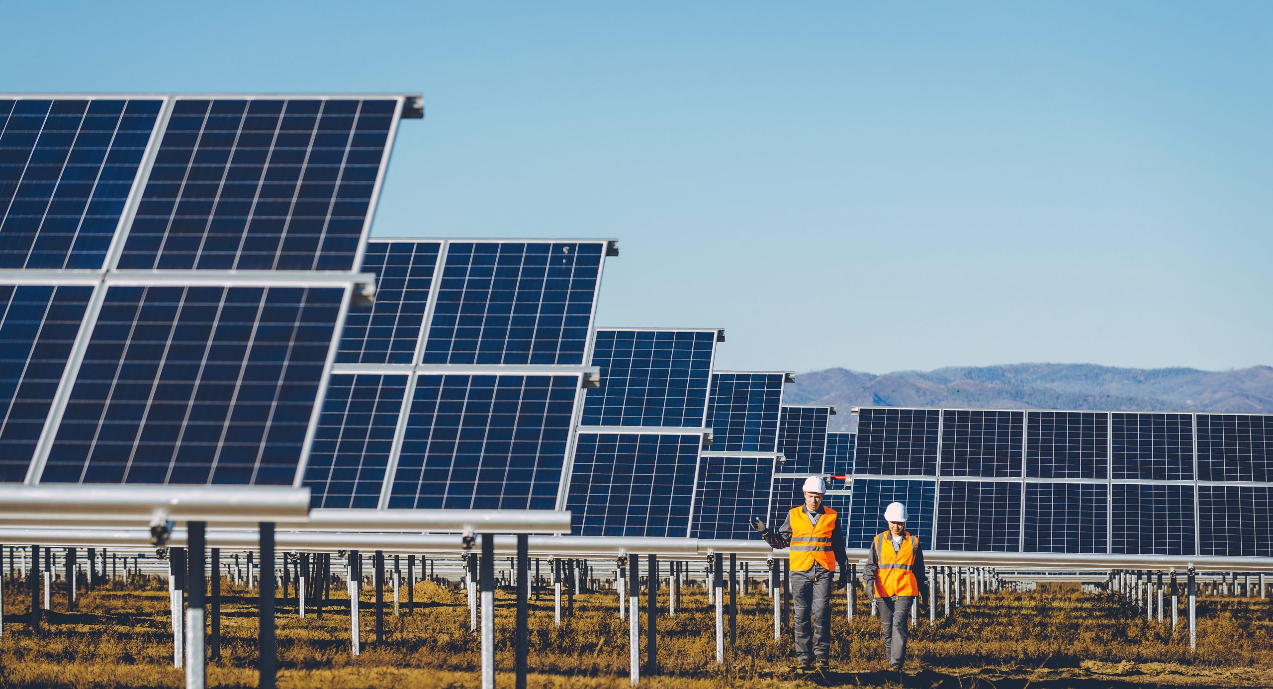 Solar Farm with People Walking