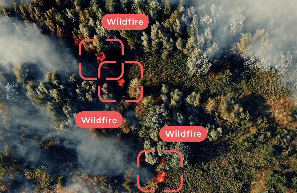 wildfire detection Chooch