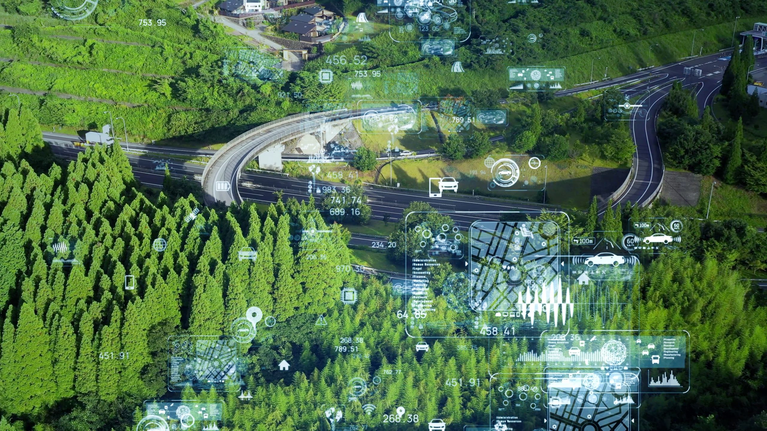 technology graphics overlaid on forest